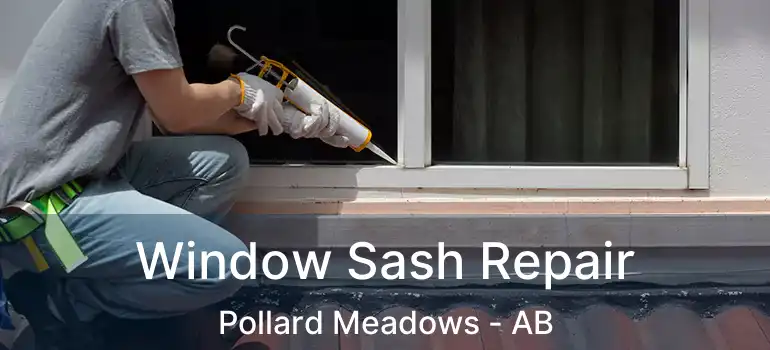  Window Sash Repair Pollard Meadows - AB