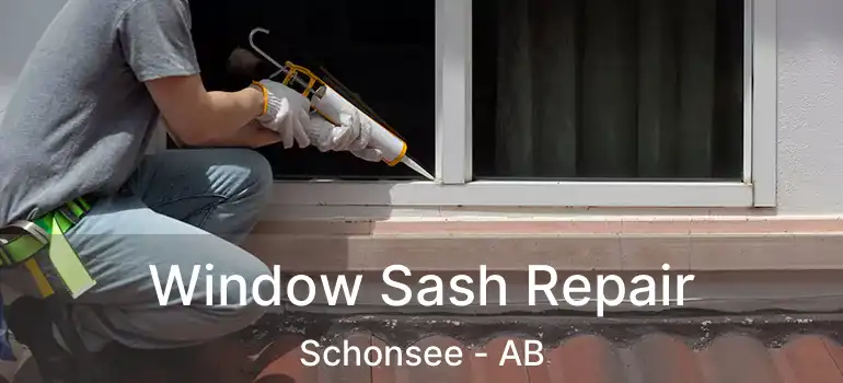  Window Sash Repair Schonsee - AB