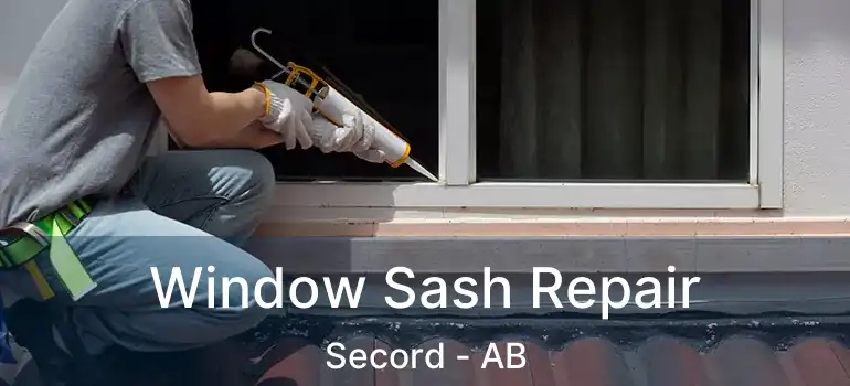  Window Sash Repair Secord - AB