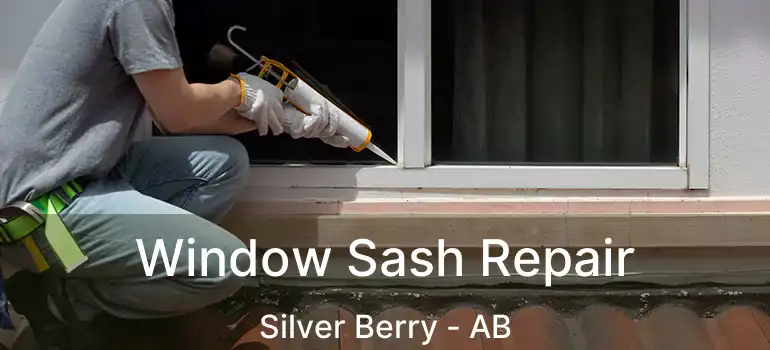  Window Sash Repair Silver Berry - AB