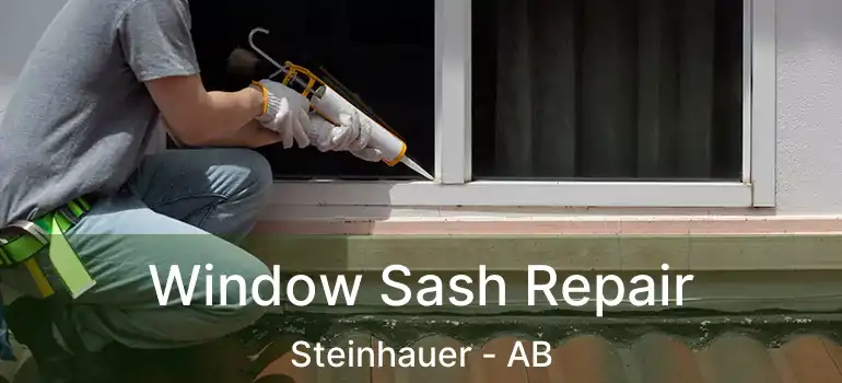  Window Sash Repair Steinhauer - AB