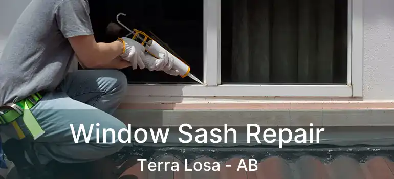  Window Sash Repair Terra Losa - AB