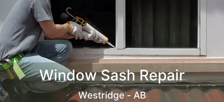  Window Sash Repair Westridge - AB