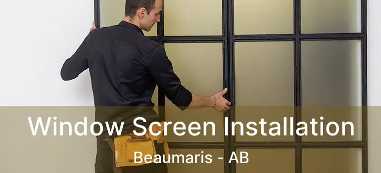  Window Screen Installation Beaumaris - AB