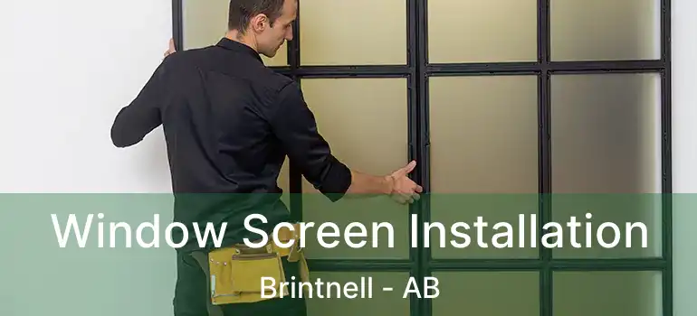  Window Screen Installation Brintnell - AB