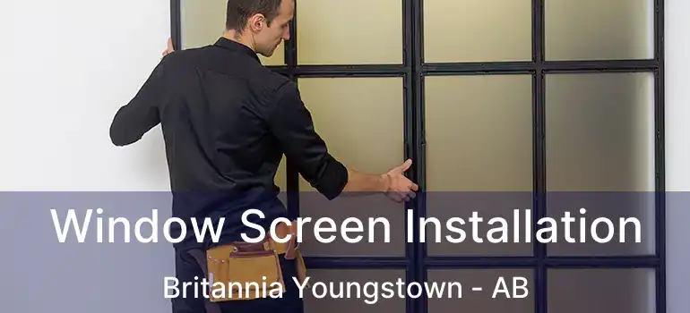  Window Screen Installation Britannia Youngstown - AB