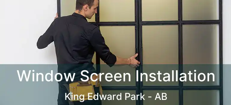  Window Screen Installation King Edward Park - AB
