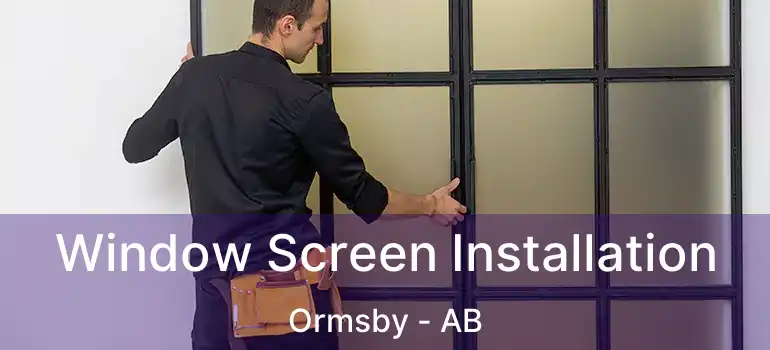  Window Screen Installation Ormsby - AB