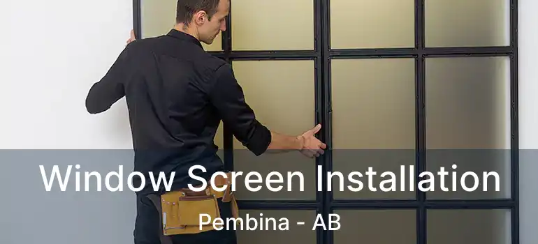  Window Screen Installation Pembina - AB