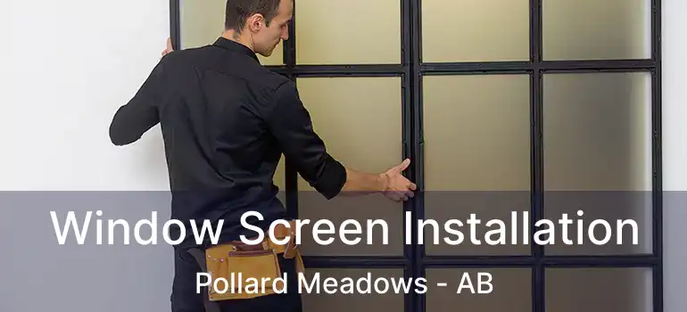  Window Screen Installation Pollard Meadows - AB
