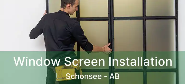  Window Screen Installation Schonsee - AB