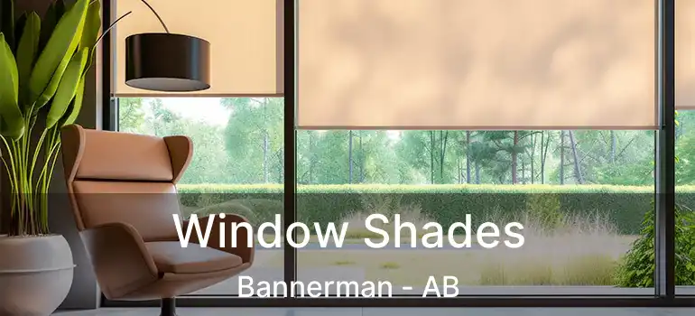  Window Shades Bannerman - AB