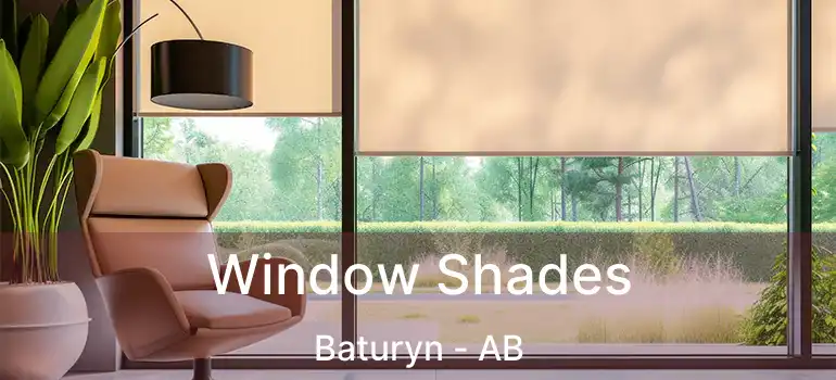  Window Shades Baturyn - AB