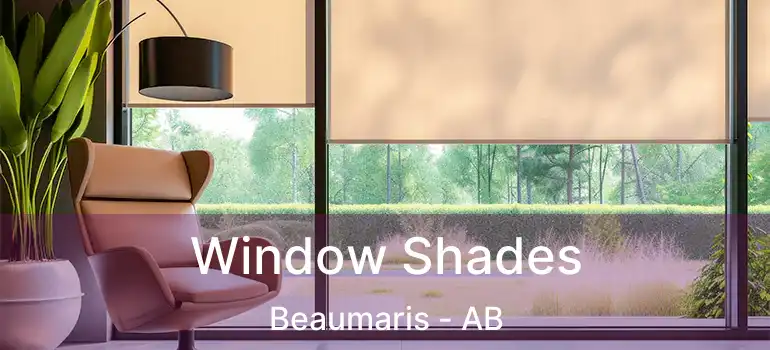  Window Shades Beaumaris - AB