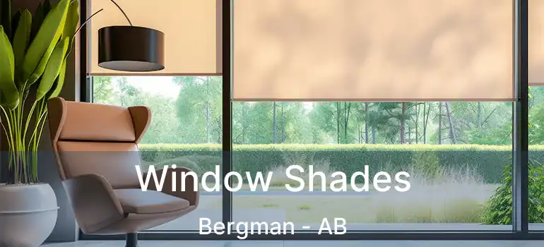  Window Shades Bergman - AB