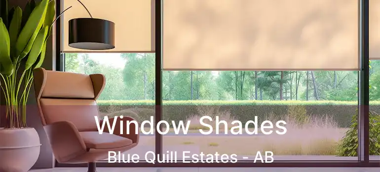  Window Shades Blue Quill Estates - AB