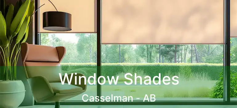  Window Shades Casselman - AB