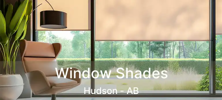  Window Shades Hudson - AB