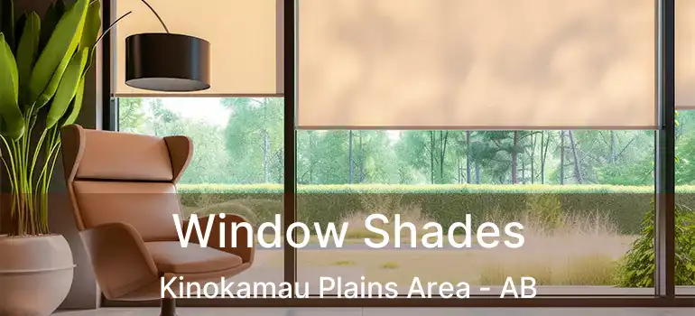  Window Shades Kinokamau Plains Area - AB