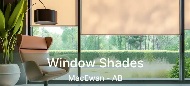  Window Shades MacEwan - AB