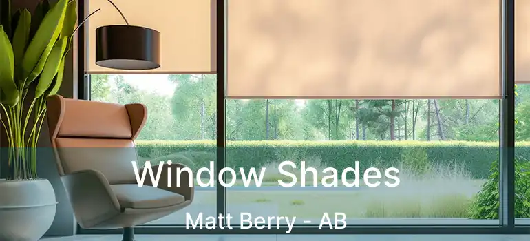  Window Shades Matt Berry - AB