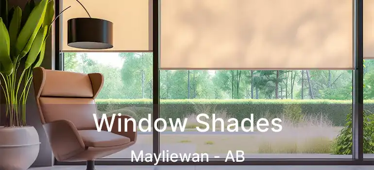  Window Shades Mayliewan - AB