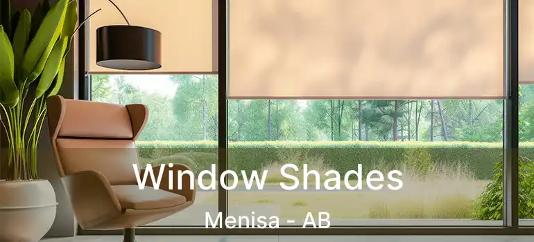  Window Shades Menisa - AB