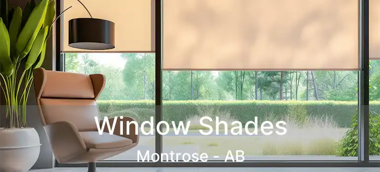  Window Shades Montrose - AB