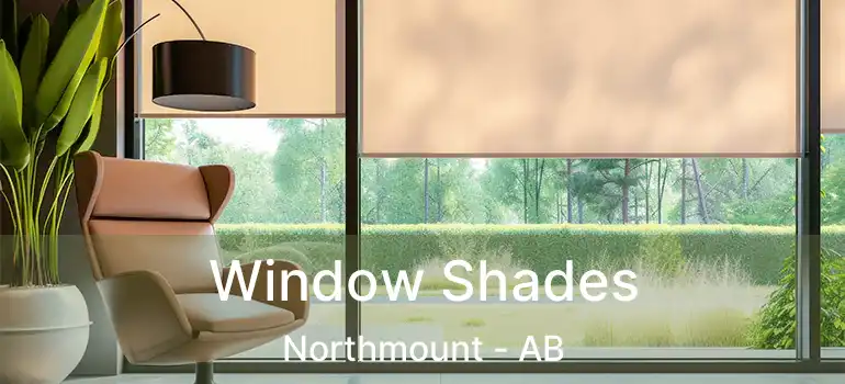  Window Shades Northmount - AB