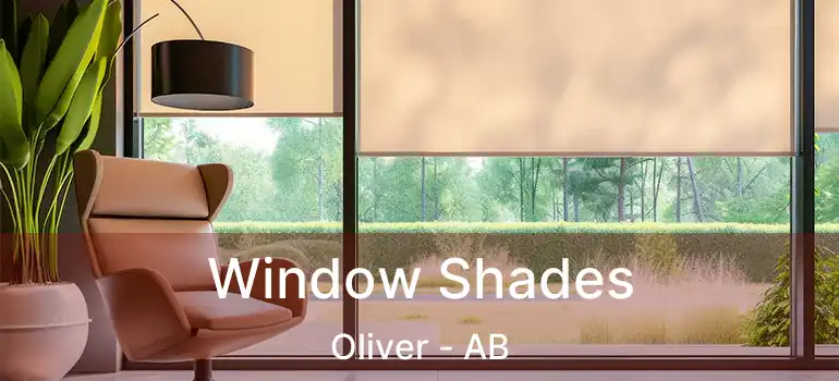  Window Shades Oliver - AB
