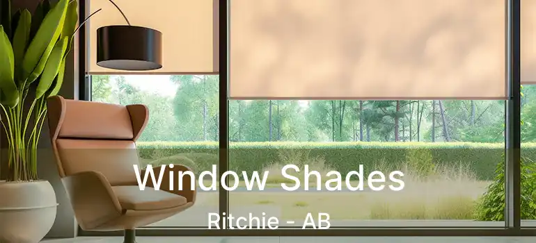  Window Shades Ritchie - AB