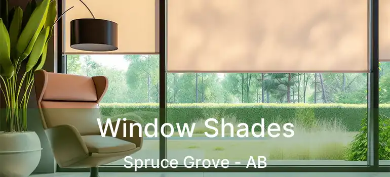  Window Shades Spruce Grove - AB
