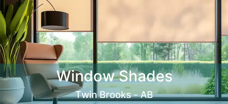  Window Shades Twin Brooks - AB