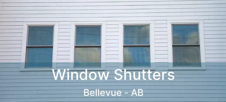  Window Shutters Bellevue - AB