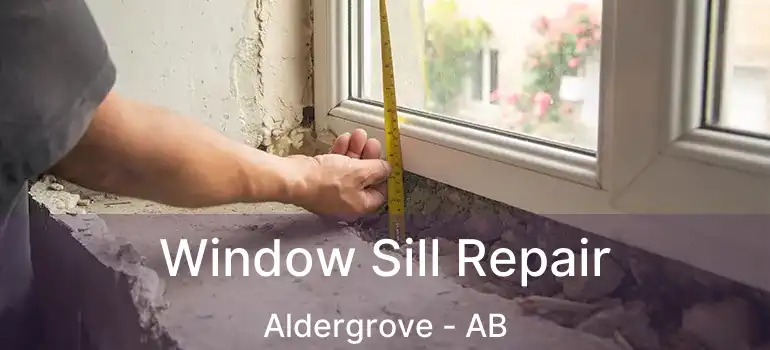  Window Sill Repair Aldergrove - AB