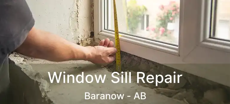  Window Sill Repair Baranow - AB