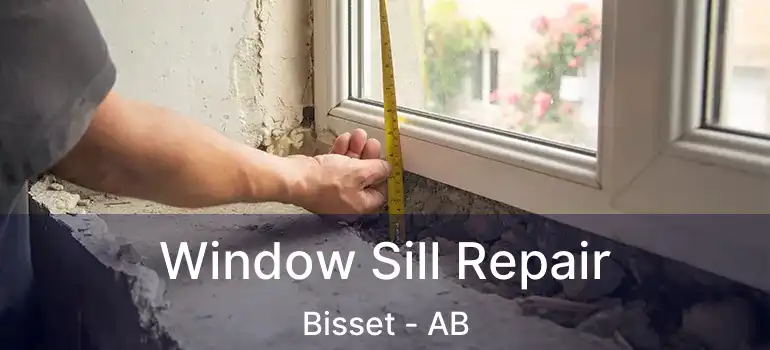  Window Sill Repair Bisset - AB