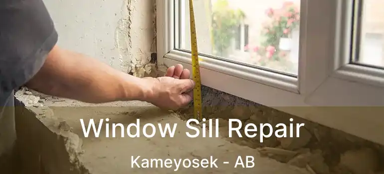  Window Sill Repair Kameyosek - AB