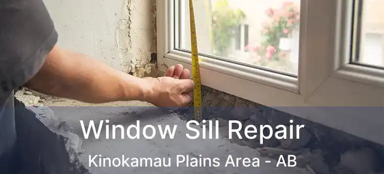  Window Sill Repair Kinokamau Plains Area - AB