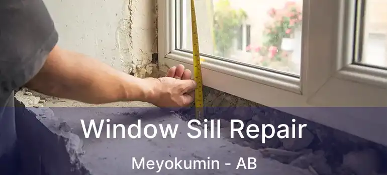 Window Sill Repair Meyokumin - AB