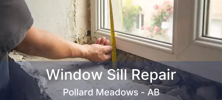  Window Sill Repair Pollard Meadows - AB