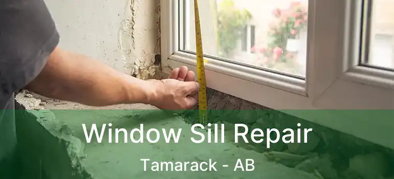  Window Sill Repair Tamarack - AB