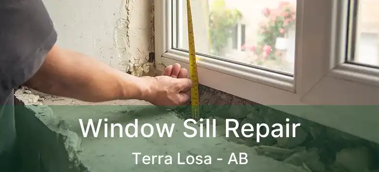  Window Sill Repair Terra Losa - AB