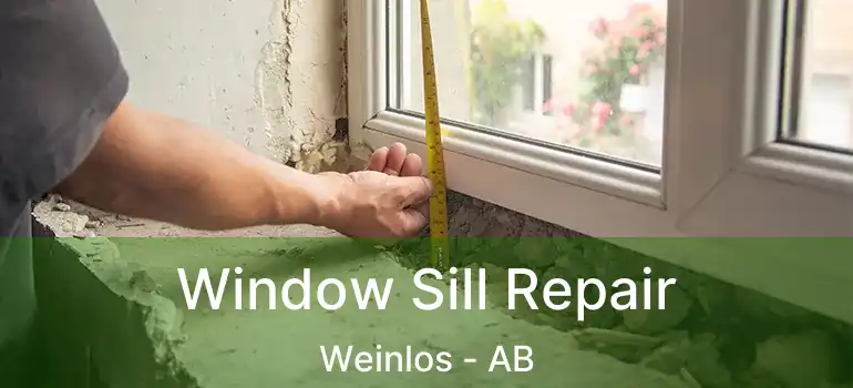  Window Sill Repair Weinlos - AB