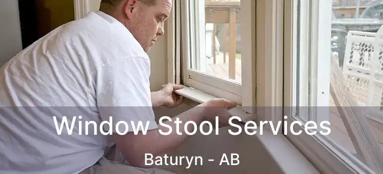  Window Stool Services Baturyn - AB