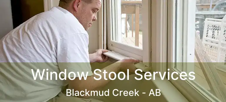  Window Stool Services Blackmud Creek - AB