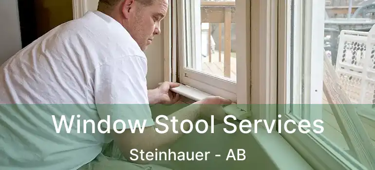  Window Stool Services Steinhauer - AB