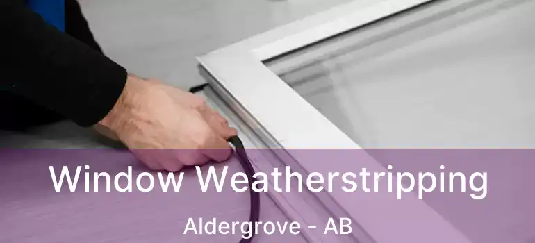  Window Weatherstripping Aldergrove - AB