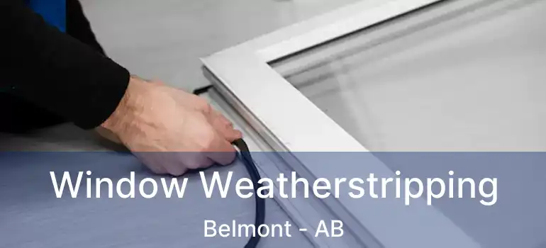  Window Weatherstripping Belmont - AB