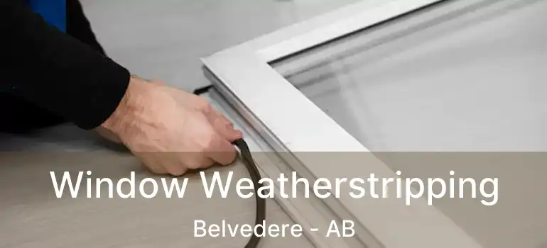  Window Weatherstripping Belvedere - AB